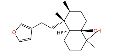 Ambliol B